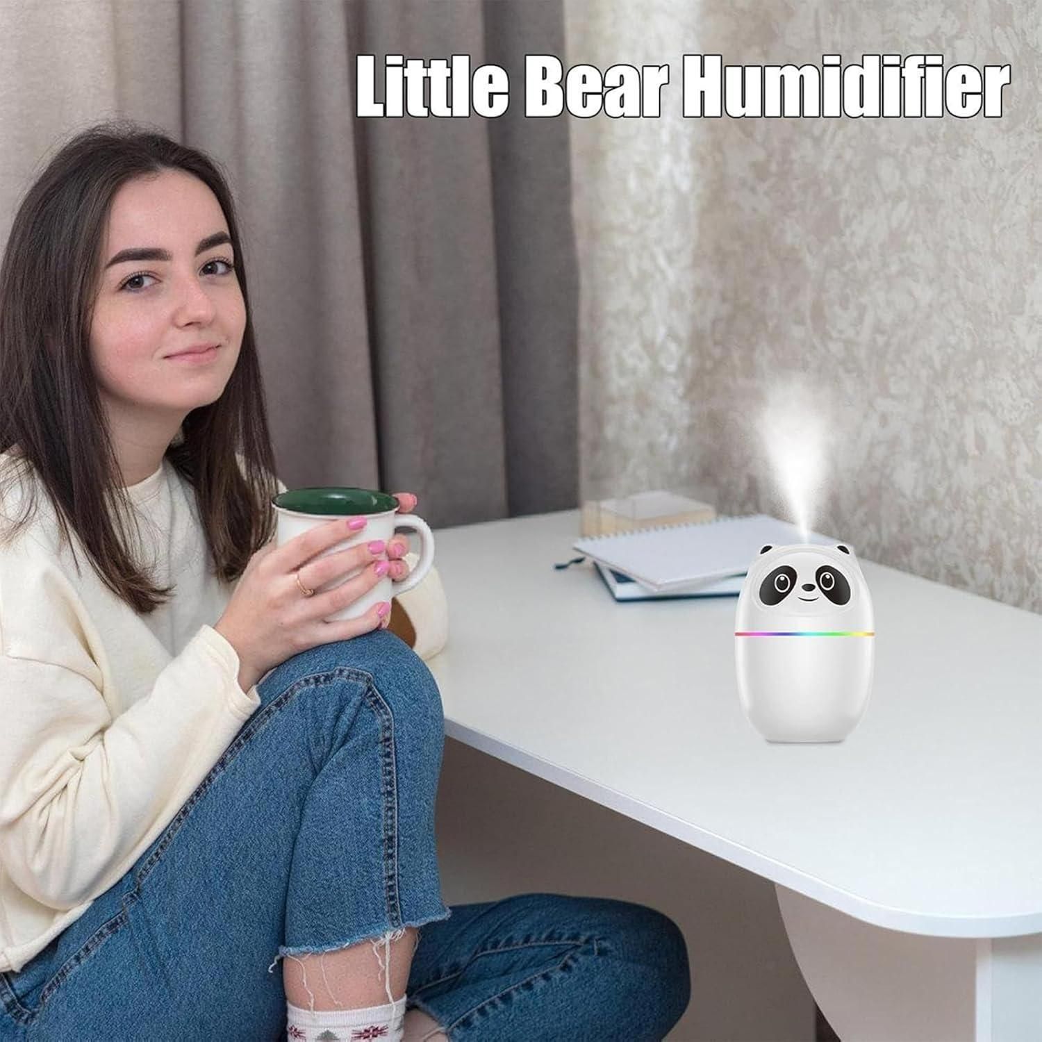 Mini Cute Panda for Room Moisture